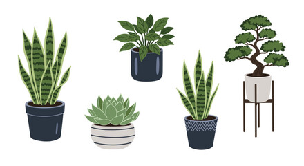 Diverse collection of potted houseplants including tall snake plants lush leafy greens and charming succulents for indoor decor.