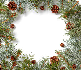 Fir branches and cones flat lay