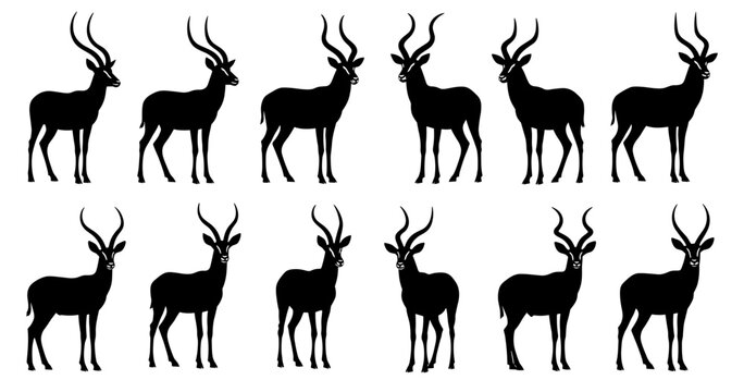 Antelope silhouettes with long curved horns. Clean lines show high quality. The collection emphasizes slender form and elegant posture