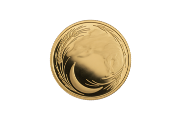 Gold Coin with Africa Map and Crescent Moon wheat stalks isolated on a transparent background