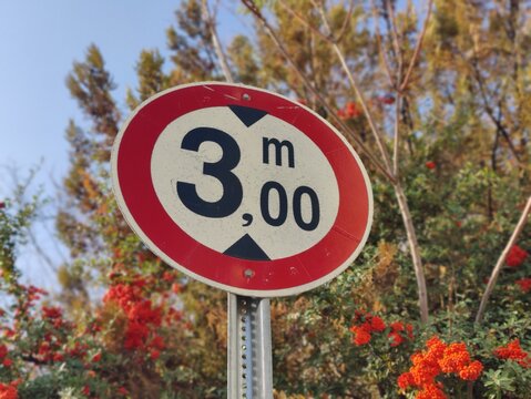 Maximum Height Restriction Traffic Sign (3.00m) Set Against a Background of Autumn Foliage and Blue Sky