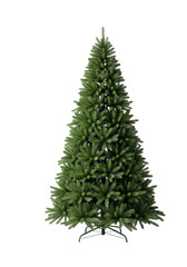 A lush, bare, undecorated artificial christmas fir tree on a transparent studio background with copy space. Concept of holiday preparation