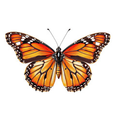 Beautiful monarch butterfly with vibrant orange and black wings, isolated on transparent background