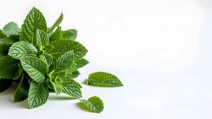 Fresh Mint Leaves Bunch on White Background with Copy Space perfect for food blogs, recipe cards, beverage menus, wellness articles, packaging design, website
