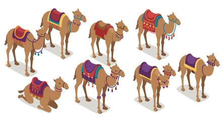 Diverse isometric camels with colorful saddles in different poses