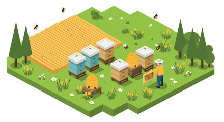 Isometric apiary scene with beehives and beekeeper in a lush garden