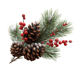 PNG Festive pinecones with red berries.