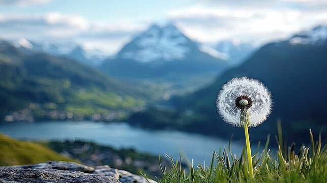 A close-up of a fluffy dandelion seed head stands in sharp focus against a blurred background of a serene lake, green hills, and majestic snow-capped mountains