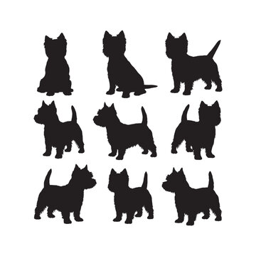 Westie Dog Silhouette Vector Set