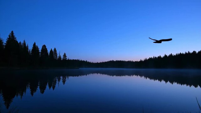 Calm lake water reflects trees and predawn blue sky landscape