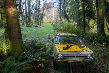 abandoned car in forest