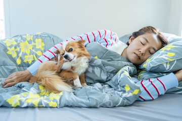 Asian woman sleeping in bed with funny winking Chihuahua dog for pet companionship and morning lifestyle concept