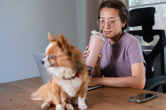 Thirsty Asian woman drinking water from tumbler during work break at home office with pet dog companion - Powered by Adobe