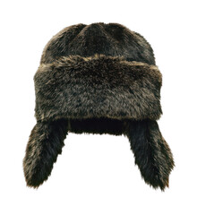 PNG Warm fur hat with earflaps.