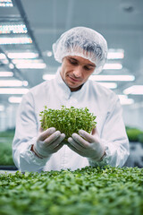Scientist examines fresh microgreens in a controlled indoor farm environment