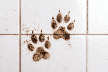 Dirty paw prints on white tile floor reveal playful pet activity indoors after a muddy adventure