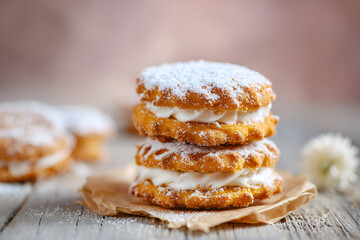 Delicious homemade dessert layered with creamy filling and topped with powdered sugar in a cozy setting