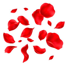 elegant collection of soft pink flower petals isolated on a transparent background, generative ai elegant collection of soft pink flower petals isolated on a transparent background, generative ai