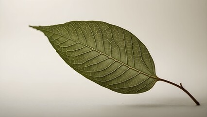 Beautiful green leaf displaying intricate veins and texture against a neutral background, highlighting nature's details during the Christmas season Generative AI