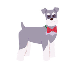 Dog wearing a checkered Bow Tie. Adorable Schnauzer puppy in a stylish Christmas outfit. Pet fashion vector illustration on white background