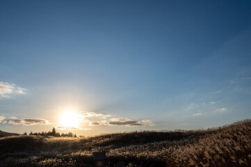 夕焼けの光が眩しい、ススキが美しい曽禰高原の素朴な田舎の景色