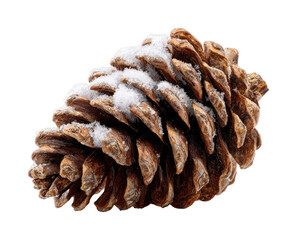 PNG Snow-covered pine cone isolated.