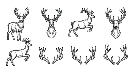 Deer and antlers engraving style vector illustration set