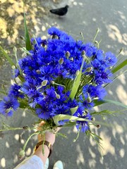 bouquet of lilac flowers