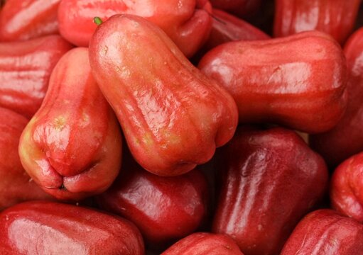Wax apple, jambu air, chompbu, water apple or rose apple