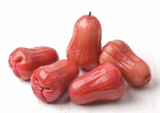 Wax apple, jambu air, chompbu, water apple or rose apple