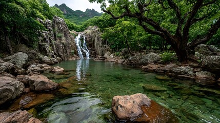 A clear waterfall cascades into a tranquil, rocky pool surrounded by lush green trees.