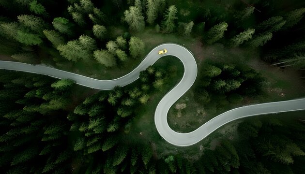 Aerial view of a winding road through a dense green forest - Powered by Adobe