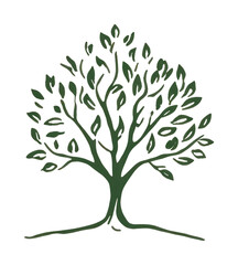 Obraz premium PNG Tree minimalist drawing leaves.