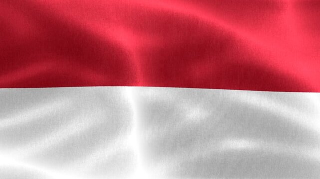 Monaco flag - realistic waving fabric flag