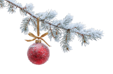 PNG Festive red ornament on branch.