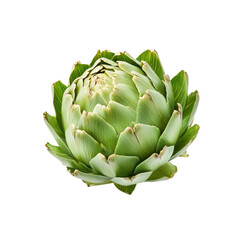 Isolated artichoke on black background
