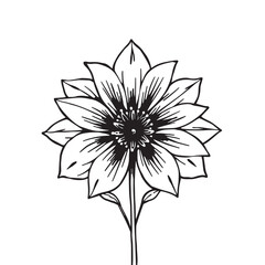 Elegant flower with botanical drawing vector illustration design.