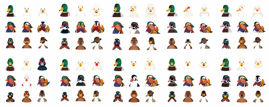 A large collection of cute cartoon avatars featuring diverse duck species, including mallards, mandarin ducks, and other waterfowl, isolated on white.