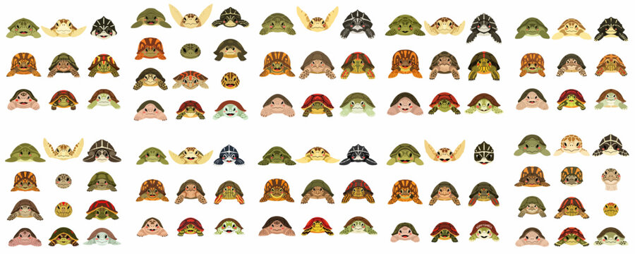 Large collection of cute cartoon turtles and tortoises, featuring various species and smiling faces, isolated vector illustration bundle for children's design.