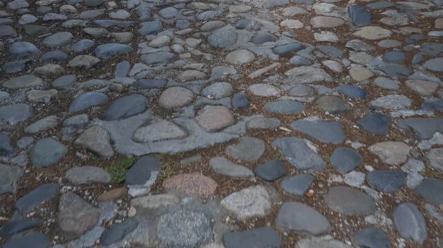 An old cobblestone road located in Charleston, South Carolina.