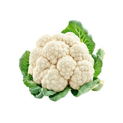 Fresh Cauliflower Head on Black Background