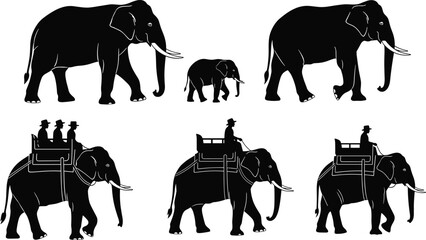 Set of Black Elephant Silhouettes Vector Collection - Tourist Riding, Safari, Wildlife, and Asian Elephant Family Icons