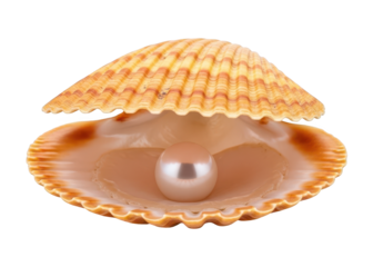 Beautiful iridescent pearl resting inside an open scallop shell