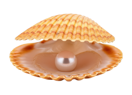 Beautiful iridescent pearl resting inside an open scallop shell