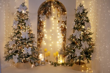 Defocused or shallow focus images with amazing bokeh and Christmas lights of a beautiful decoration. 