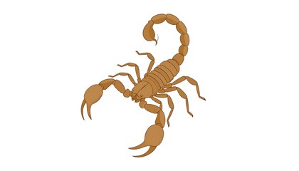Stylized light-brown scorpion with raised tail and large pincers, isolated on a white background, facing forward