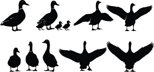 Duck and goose silhouettes in various poses with chicks and wings spread, black flat vector illustration for wildlife farming designs