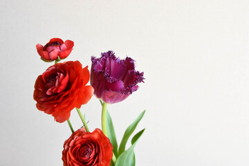 ラナンキュラスとチューリップ