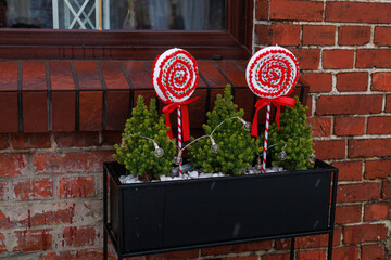 Holiday decoration on brick wall. Two candy-shaped ornaments stand among small evergreens in a window box on brick wall. Concept of Christmas decoration, retail seasonal design, and festive marketing.