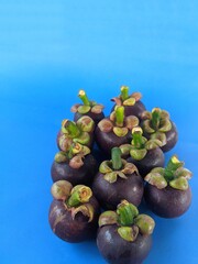 Ripe mangosteen fruit on a blue background